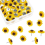 Solrosknappar Solrosknappar Blomkorktavlor (80 st) 2