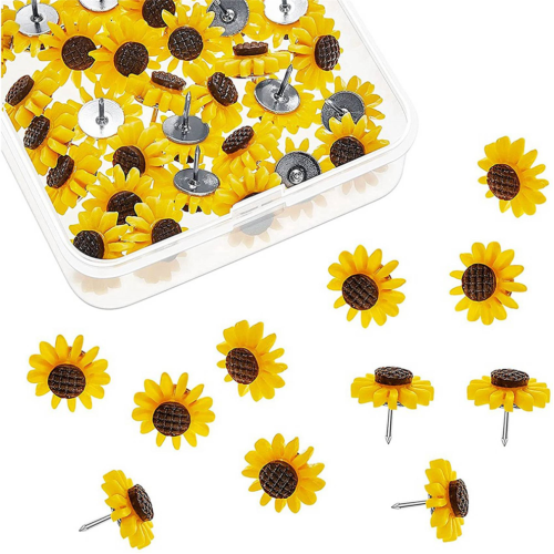 Solrosknappar Solrosknappar Blomkorktavlor (80 st) 1