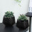 Large Capacity Gardening Pot With Multiple-21cm inner diameter 5