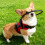 Adjustable Blind Dog Harness Crashproof Protective Collar-M Red 7