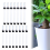 Indicateur d'arrosage pour plantes, 15 unités 2