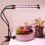 USB-LED-Pflanzenlampe für den Innenbereich, dimmbar 2