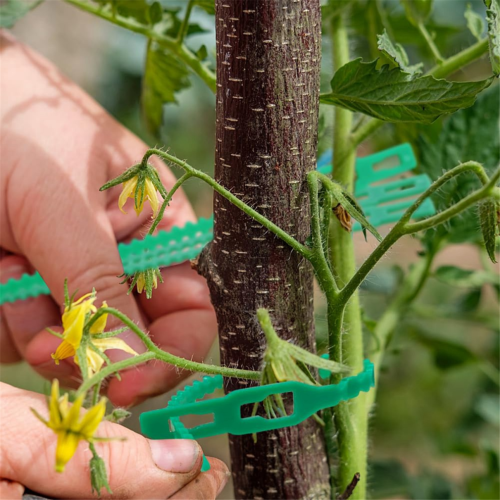 100 Stück verstellbare, wiederverwendbare Gartenpflanzen-Drahtbinder 2