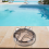 Practical High-quality Strainer Lid Pool 4