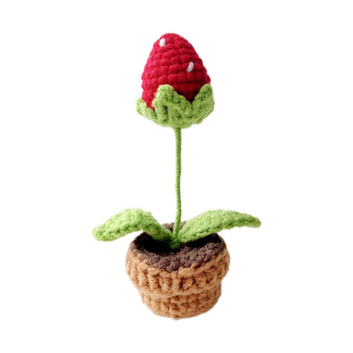 C Handgestrickte Topfblumen Häkelarbeit