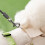 Waterproof Rain-Proof Mud-Proof Leggings for Small Medium-Dog S 6