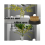 3er-Set Blumenhalter, 2 Zoll runde Blumen 3