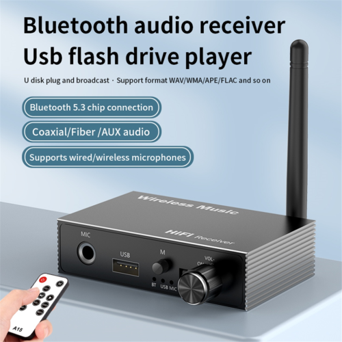 Ομοαξονικός δέκτης ήχου Bluetooth 5.3 οπτικών ινών, παραδοσιακού τύπου 2