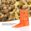Bee Queen Cap Comb Push-in Queen Cell Protectors 3