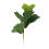 Μικρό τεχνητό δέντρο Ficus Lyrata 11 ιντσών με τεχνητό βιολί για διακόσμ 3