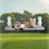 Foldable Cat Hammock Comfortable Aerial Hanging Cat Bed 4