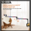 RGB Microphone Arm Stand,Mic Arm with RGB Light B 2