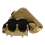Motorcycle Engine Master Cylinder Brake Caliper for Front 1