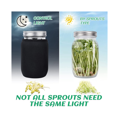 Seed Jar Kit with 2 Wide Mouth Jars Bean with Mesh Screen Lids 1