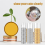 30Pieces Coin Tubes Assorted Sizes Coin Storage Tubes 4