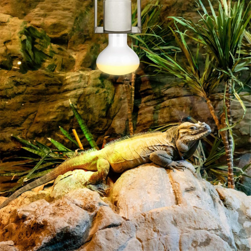 Reptile Ceramic Socket,Heat Lamp Holder Bulb Not Included 2pc EU Plug 2