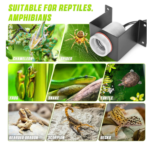 Reptile Ceramic Socket,Heat Lamp Holder Bulb Not Included 2pc EU Plug 1