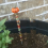 Perlenbesetzte Gartenstecker, handgefertigter Feenstab-Gartenstecker A 4