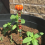Perlenbesetzte Gartenstecker, handgefertigter Feenstab-Gartenstecker A 3