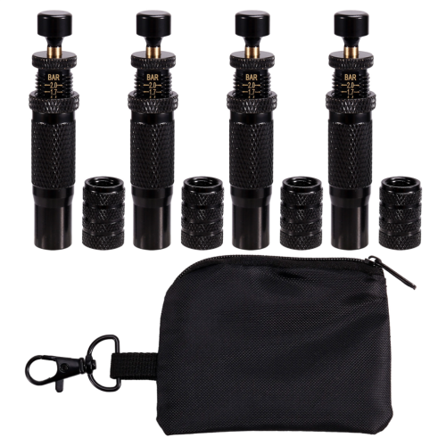10-30 PSI/0,7-2 BAR Einstellbares Set