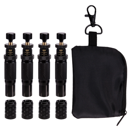 10-30 PSI/0,7-2 BAR Einstellbares Set 2