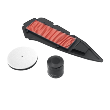 Motorluchtfilter/oliefilter met luchtinlaatspons voor ZT368G