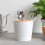 2 portacoltelli da cucina, organizer, colore bianco 4