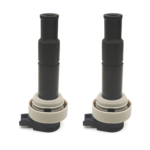 2 Pieces 7715848-01 Engine Ignition Coil Pack 771584801 for BMW G 650