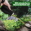 Handspuit met insectenspray, applicator 1