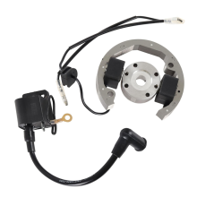 Zündspulen-Stator-Rotor-Schwungrad-Kit für