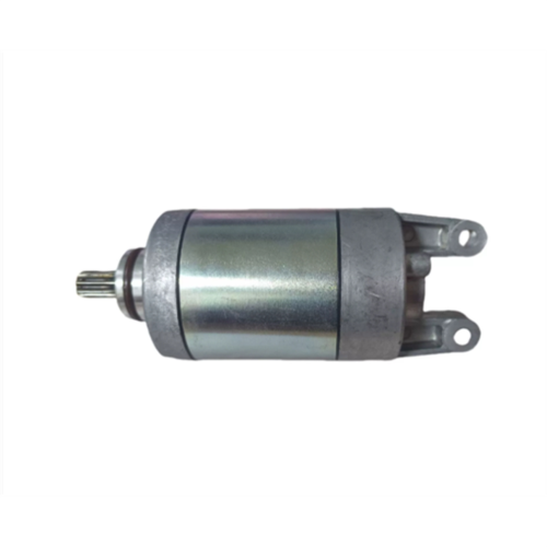 Κινητήρας για 15-18 CZD250 X-MAX 250 CZD300 X-MAX 300 300 2