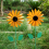 Sunflower Windmill 75cm/29.5in Metal Sunflower Windmill Windmill 3