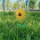 Sunflower Windmill 75cm/29.5in Metal Sunflower Windmill Windmill 4