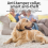 4G GPS Pet Tracker Φωνητική Παρακολούθηση Pet GPS Anti Loss Mini Tracker, D 3