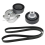 Engine Belt Tensioner Set for E46 E39 E60 E38 E65 E66 X3 E83 1