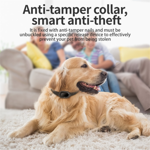 4G GPS Pet Tracker Φωνητική παρακολούθηση Pet GPS Anti Loss Mini Tracker, B 2