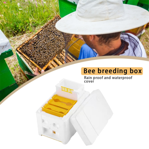 Bee Hive Frame Holder Equipment Kit Bee Hive Foam Beekeeping Box 2