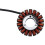 21003-0141 Motorcykelgenerator Statorspole för 4