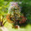 Baumgeschenk-Kristallbaumstein und Kristallgeldbaum-Heilkristall 4