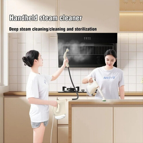 Handdampfreiniger 2