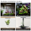 Lampada per acquario USB, Nano Aquarium Light Mini9Pro 3
