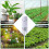 Moniteur de plantes ZIGBEE : Testeur de température et d'humidité du sol 3