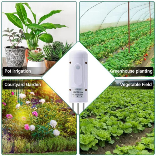 Moniteur de plantes ZIGBEE : Testeur de température et d'humidité du sol 2