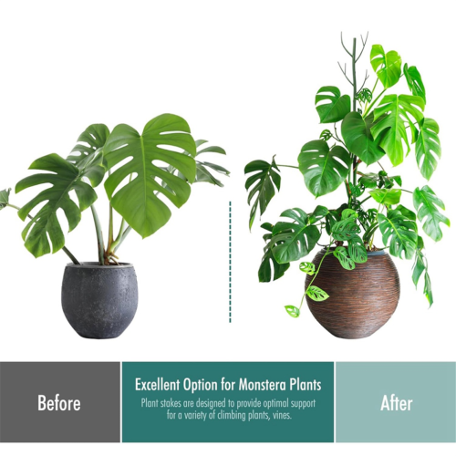 Σετ κλιπ στήριξης φυτών Monstera, δέσιμο, πασσάλους στήριξης φυτών 1