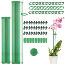Kits de tuteurs pour plantes, bâtonnets avec tuyau de connexion pour plantes d'extérieur