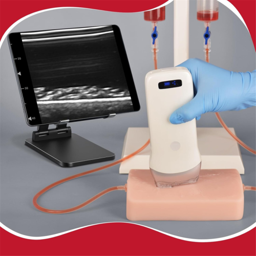 Trainingsmodel voor echogeleide vasculaire punctie 2