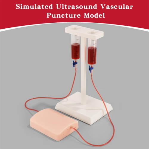 Trainingsmodel voor echogeleide vasculaire punctie 1