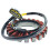 Statorspole för R1200GS R1200R R1200RS 1