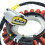 Statorspole för R1200GS R1200R R1200RS 4