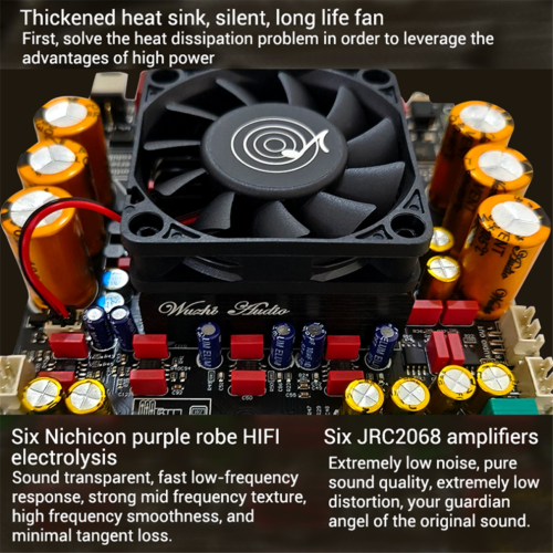 -AS21P Digital Power Amplifier Board Stereo 2X3000W+600W 2